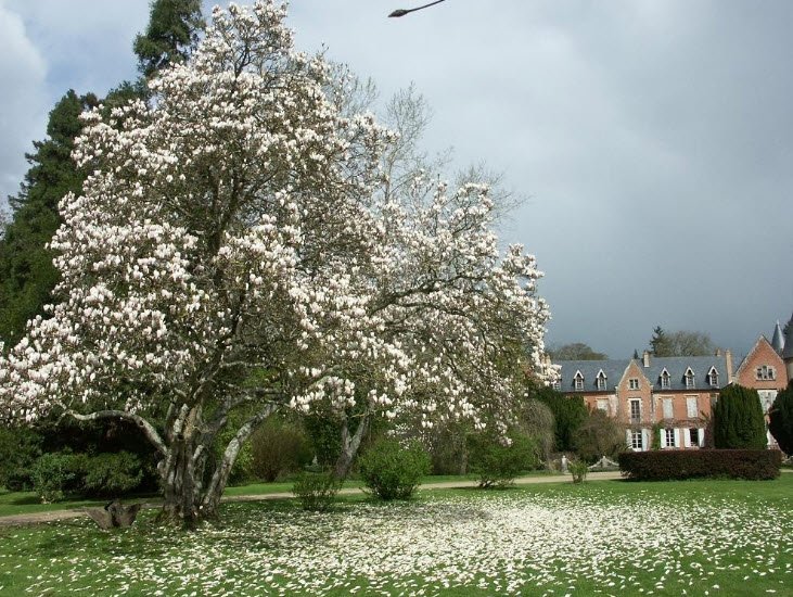 Arboretum de Balaine, Villeneuve-Sur-Allier, France